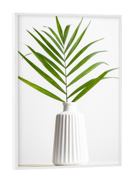 Poster mit weißem Rahmen "Farn im Ganzen" artboxONE - Floral - Farn,Blumen,Botanik,Grün,Weiß,Mimimalistisch,Fotografie