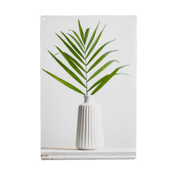 Metall Poster "Farn im Ganzen" artboxONE - Floral - Farn,Blumen,Botanik,Grün,Weiß,Mimimalistisch,Fotografie - Blechschild