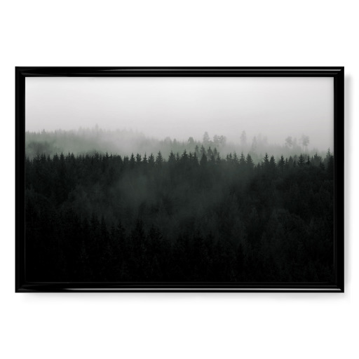 Mountain landscape fog forest