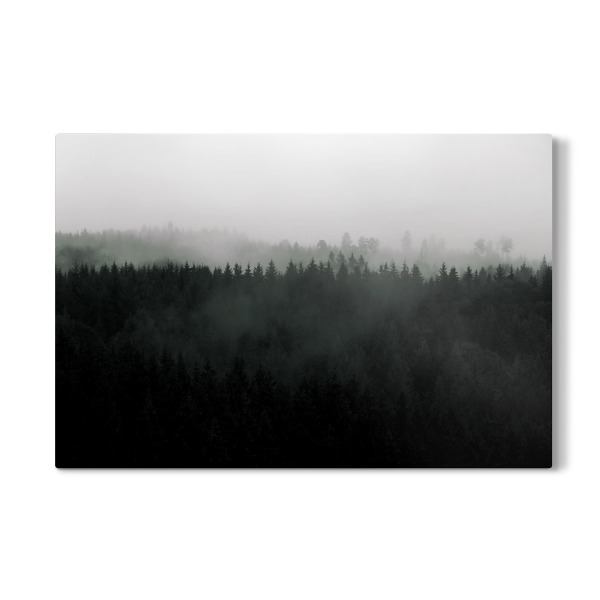 Galerie-Print "Berglandschaft Nebel Wald" 30x20 cm artboxONE
