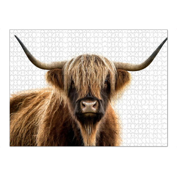 Puzzle Ravensburger "Scottish highlander im Portrait" artboxONE - Tiere - Schottland,Horn,Tier,Highlands,Hausrind,Nutztier,Fell,Rasse