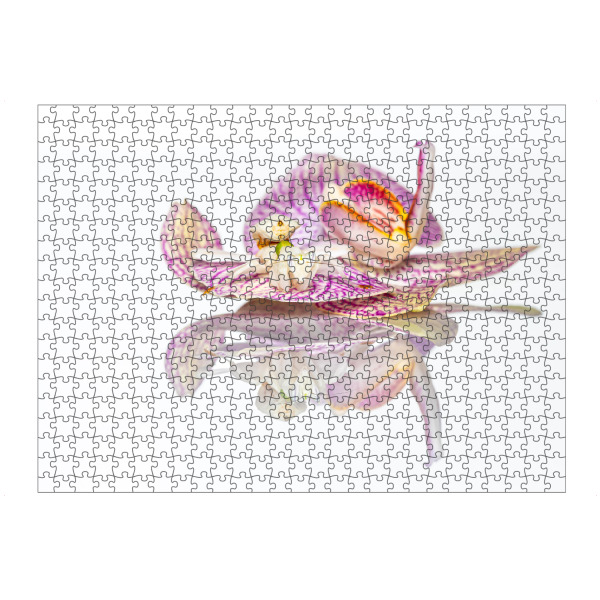 Puzzle Ravensburger "Fangschrecke auf Orchideenblüte" artboxONE - Tiere