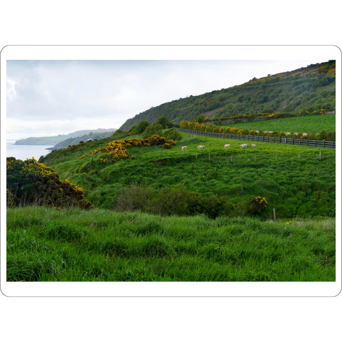 Tischset "Grünes Nordirland" artboxONE - Natur,Reise / Strand und Meer,Reise / Länder