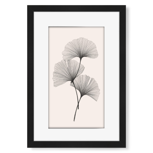 Ginkgo