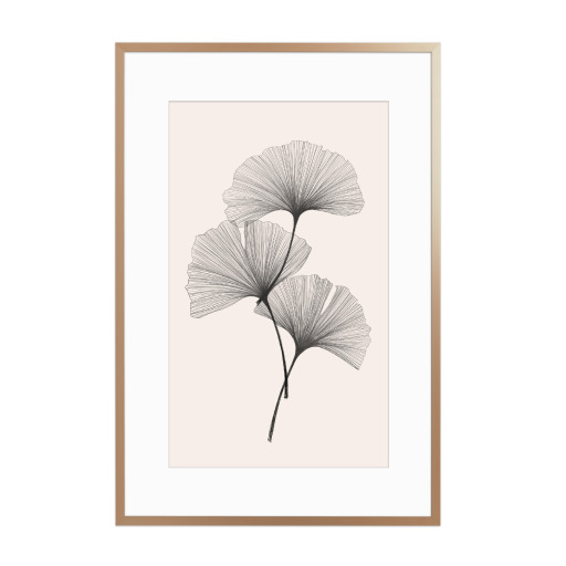 Ginkgo