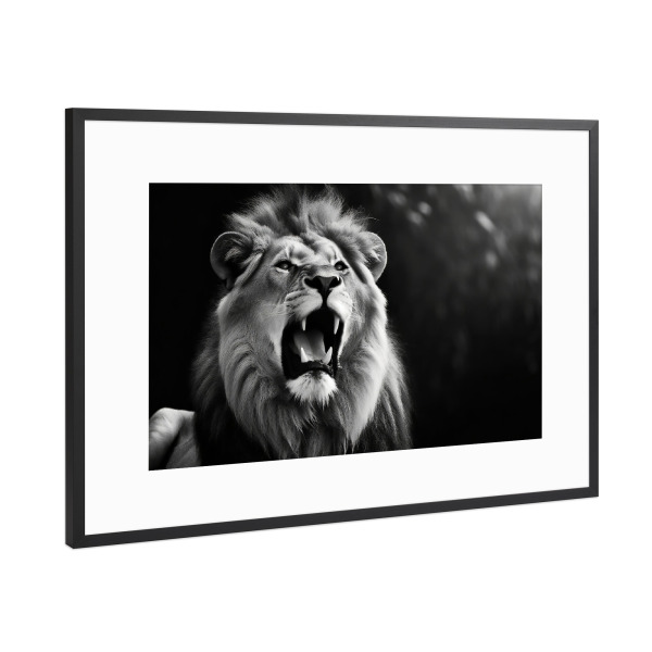 Poster mit Rahmen Schwarz (Metallic) "Brüllender Löwe" artboxONE - Tiere,Schwarzweiß - Natur,Kopf,Afrika,Raubtiere,Löwe,Wildtier,Tier,Savanne