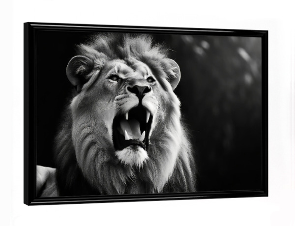 Poster mit schwarzem Rahmen "Brüllender Löwe" artboxONE - Tiere,Schwarzweiß - Natur,Kopf,Afrika,Raubtiere,Löwe,Wildtier,Tier,Savanne