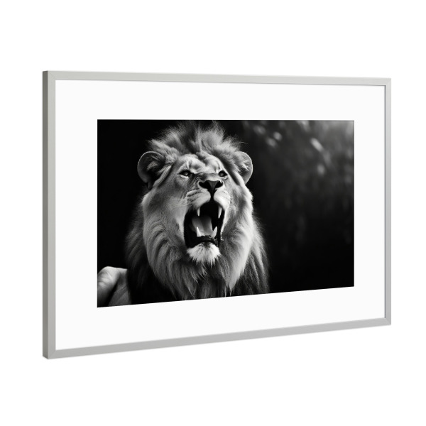 Poster mit Rahmen Silber "Brüllender Löwe" artboxONE - Tiere,Schwarzweiß - Natur,Kopf,Afrika,Raubtiere,Löwe,Wildtier,Tier,Savanne