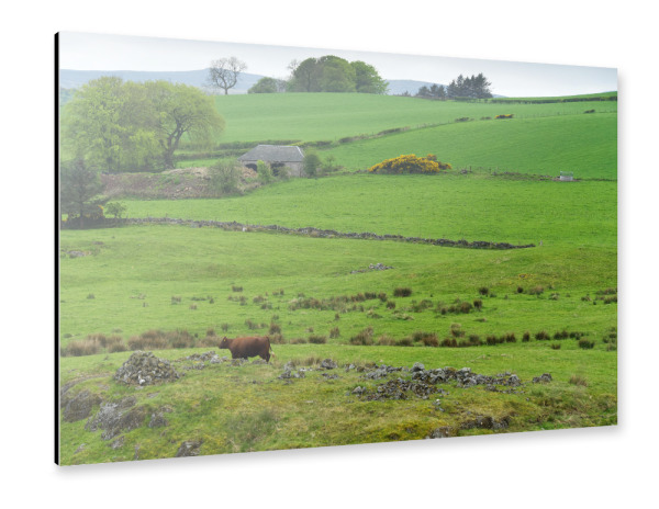 Alu-Dibond "Greenock Landschaft" 30x20 cm artboxONE