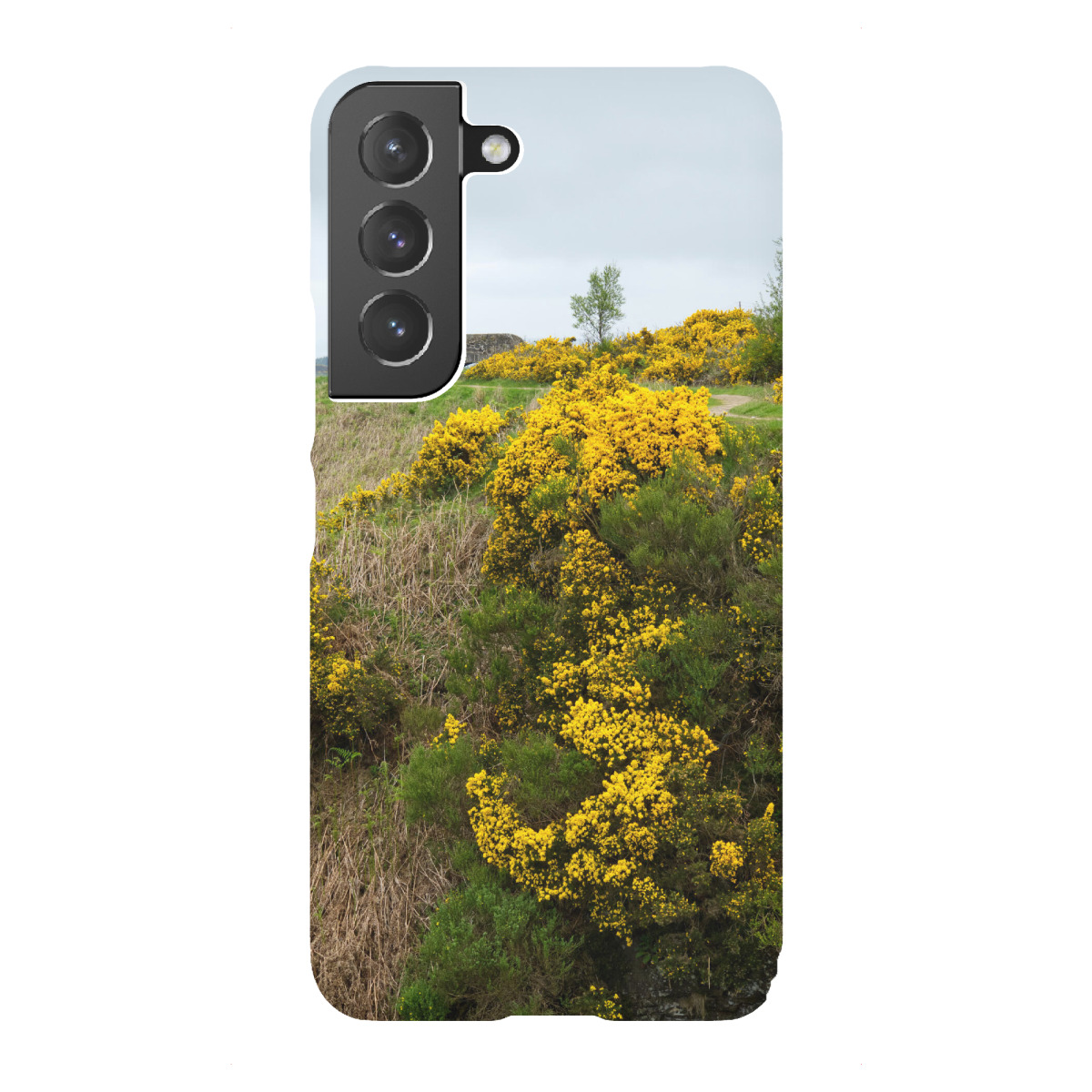 Samsung Galaxy "Ginster bei Greenock" Premium-Case Handyhülle artboxONE