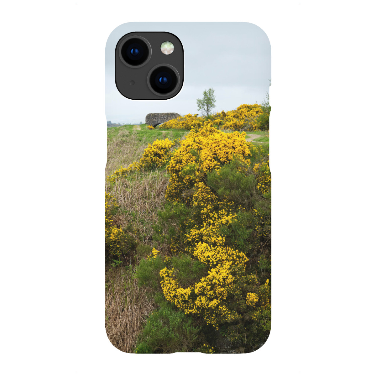 "Ginster bei Greenock"für iPhone - Premium-Case Handyhülle artboxONE
