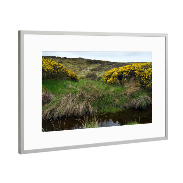 Poster mit Rahmen Silber "Gräser am Bach" artboxONE - Natur,Reise / Länder