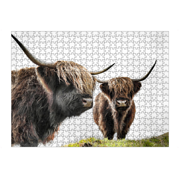 artboxONE Puzzle "Scottish highlander im Hochland" artboxONE - Natur,Tiere - Schottland,Horn,Tier,Highlands,Hausrind,Nutztier,Fell,Rasse