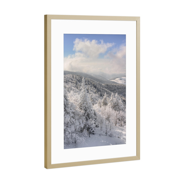 Poster mit Rahmen Gold "Schwarzwald im Winter" artboxONE - Natur,Reise,Reise / Länder