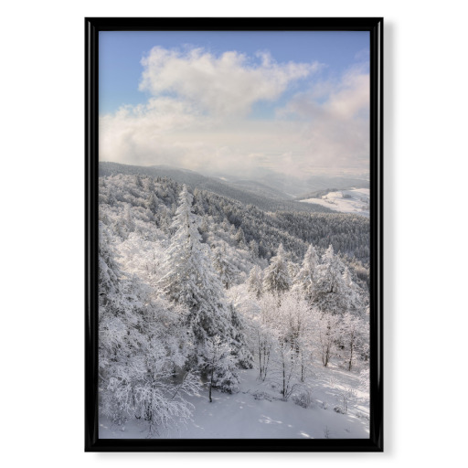 Black Forest in winter