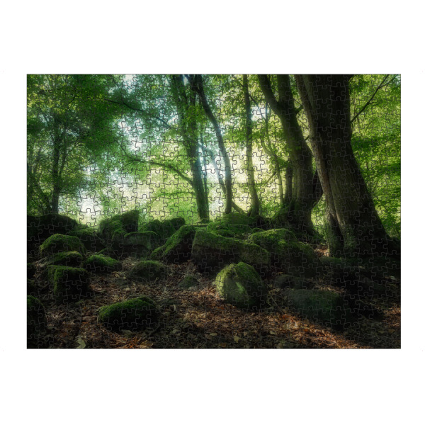 artboxONE Puzzle "Verwunschener Wald" artboxONE - Natur,Reise,Floral