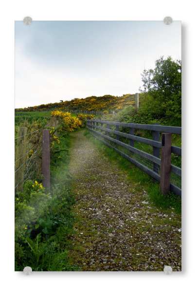 Acrylglasbild "Wanderweg in Nordirland" artboxONE - Natur,Reise / Länder