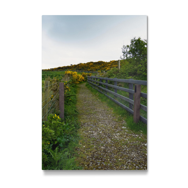 Galerie-Print "Wanderweg in Nordirland" 30x20 cm artboxONE
