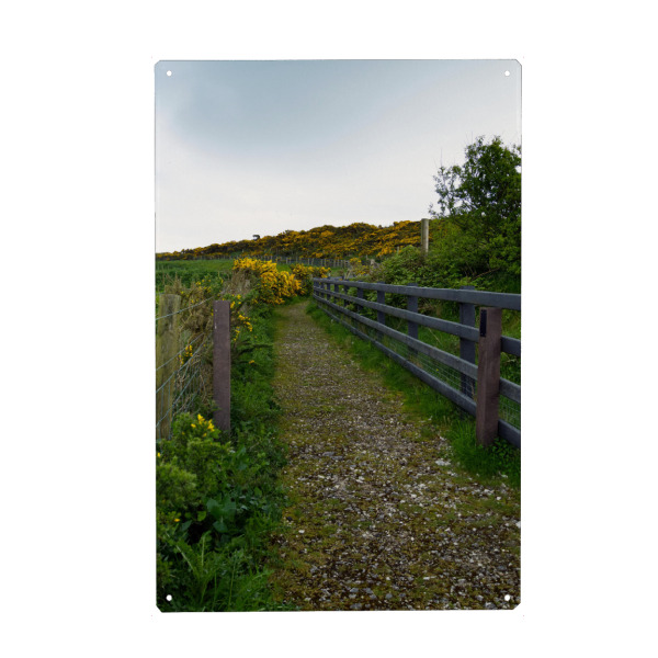 Holzbild "Wanderweg in Nordirland" artboxONE - Natur,Reise / Länder