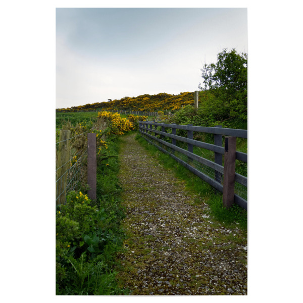 Poster "Wanderweg in Nordirland" artboxONE - Natur,Reise / Länder