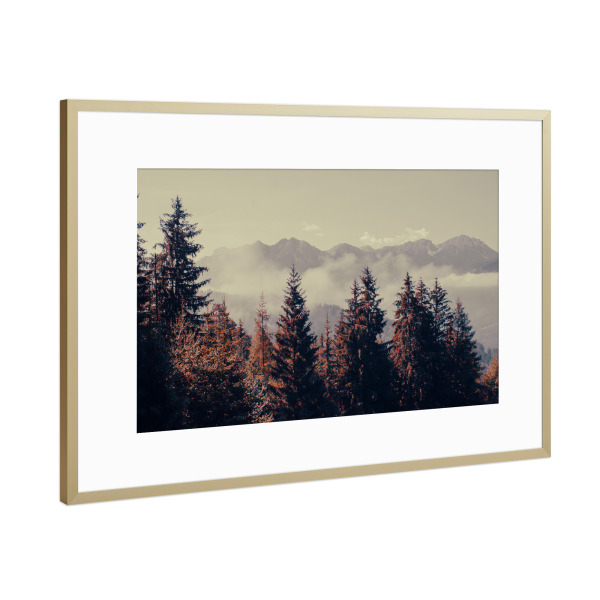 Poster mit Rahmen Gold "Bergwald" artboxONE - Natur - Berg,Baum,Wald,Italien,Dolomiten,Natur,Trekking,Fernweh,Erkundung