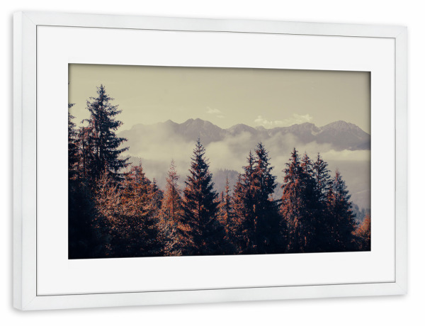 Poster mit Rahmen weiß "Bergwald" artboxONE - Natur - Berg,Baum,Wald,Italien,Dolomiten,Natur,Trekking,Fernweh,Erkundung