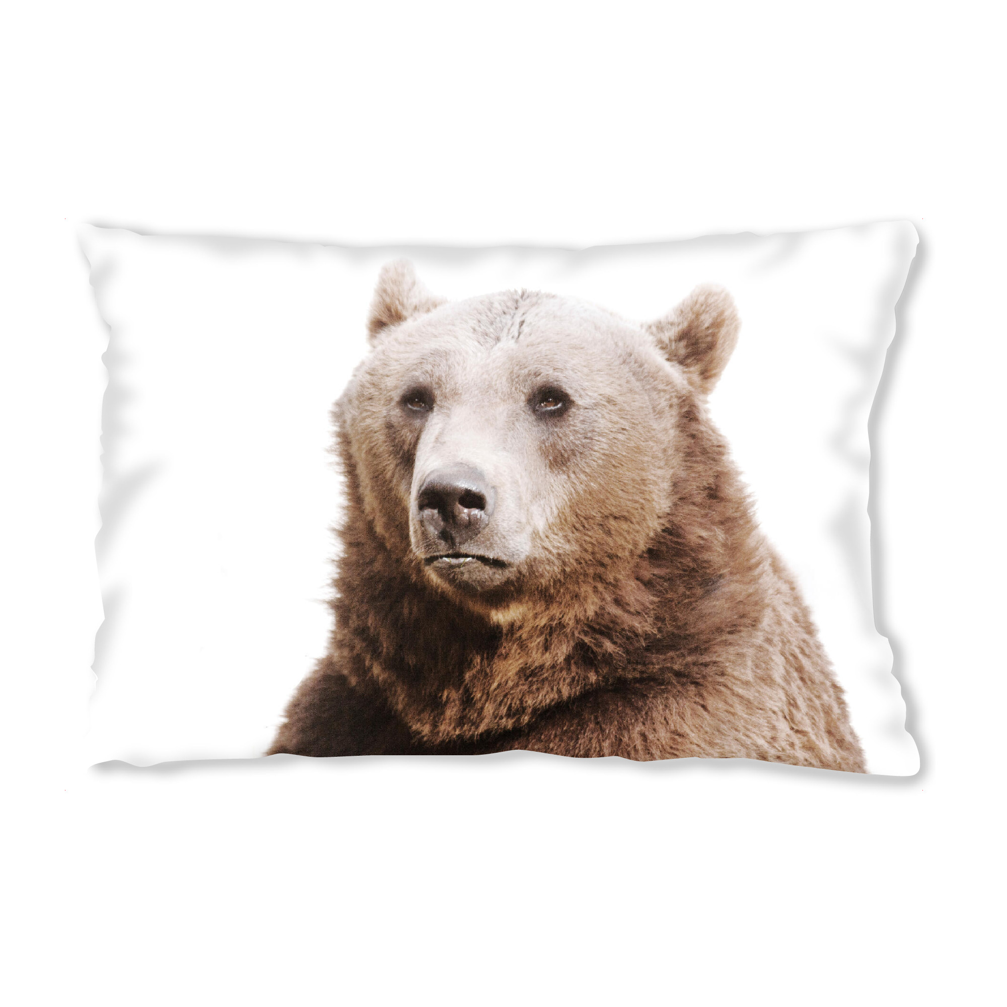 Design-Kissen "Foto eines Bären" artboxONE - Abstrakt - Braunbär,Bär,Wild,Tier,Berg,Italien,Zoo,Park - Bild braunbär