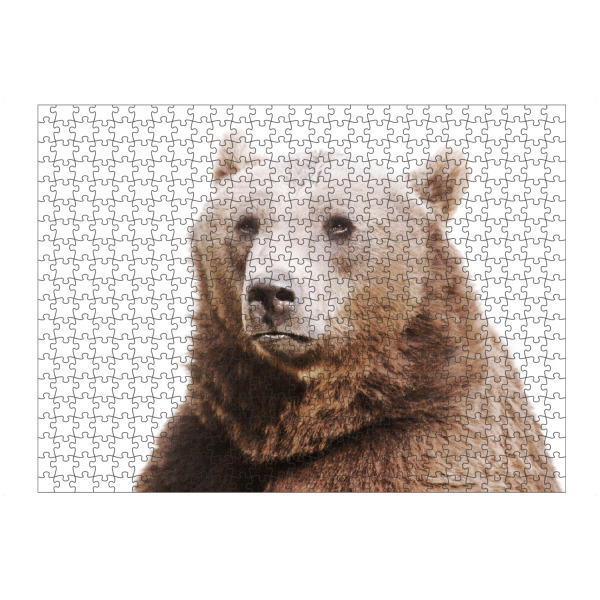 Puzzle Ravensburger "Foto eines Bären" artboxONE - Abstrakt - Braunbär,Bär,Wild,Tier,Berg,Italien,Zoo,Park - Bild braunbär