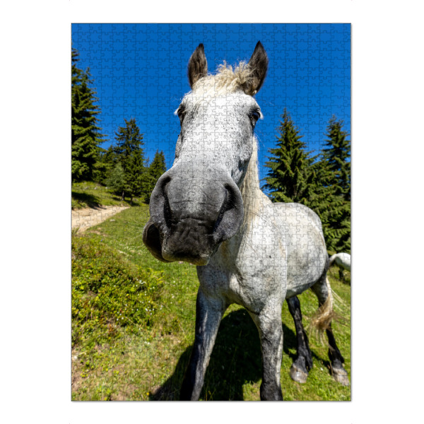 Puzzle Ravensburger "Ein neugieriges Pferd" artboxONE - Natur,Tiere,Lustig