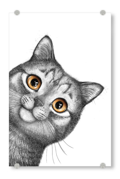 Acrylglasbild "Graue Katze" artboxONE - Für Kinder,Tiere,Comic,Für Mama,Lustig