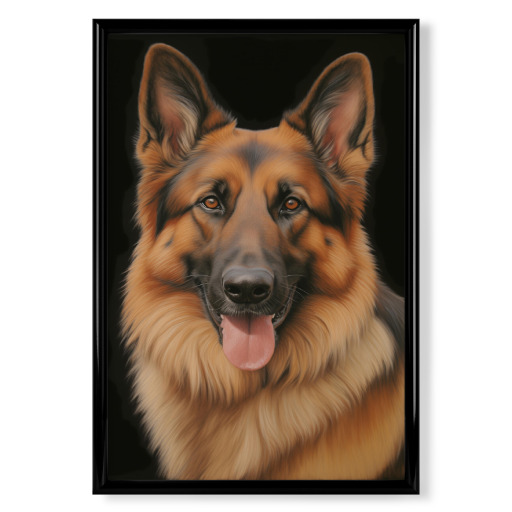 German Shepherd portrait