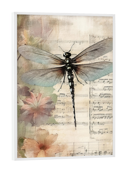 Poster mit weißem Rahmen "Musikalische Libelle E" artboxONE - Floral,Tiere,Musik - Blumen,Blumen,Insekten,Libelle,Musik,Noten,Noten