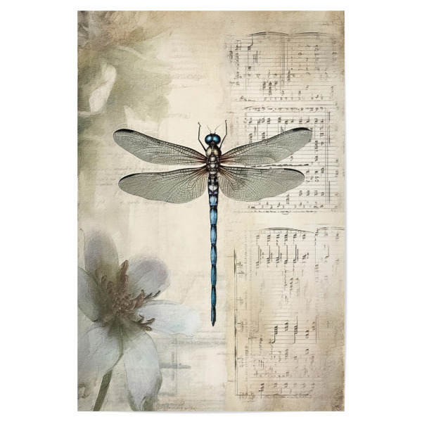 Poster 30x20 cm "Musikalische Libelle L" artboxONE - Floral,Tiere,Musik - Blumen,Blume,Insekten,Libelle,Musik,Noten,Musiknoten