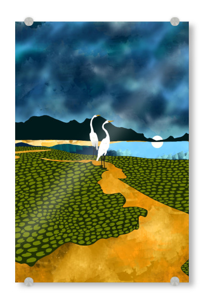 Acrylglasbild "Silberreiher auf Honeymoon Island" artboxONE - Natur,Tiere