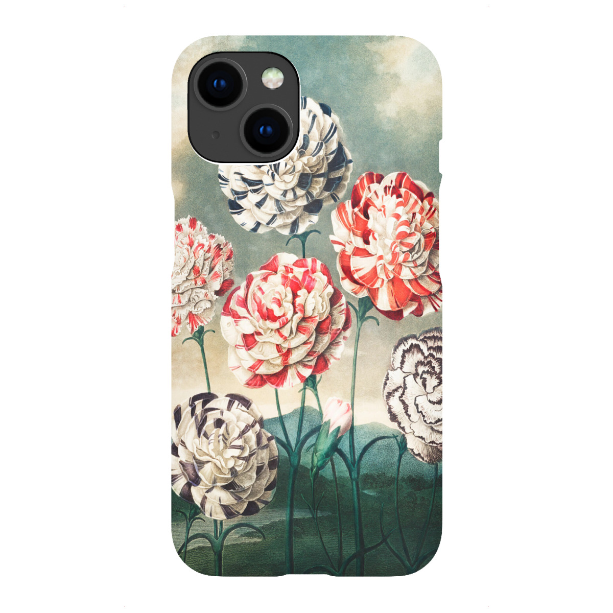 iPhone "Thornton - Eine Gruppe von Nelken" Premium-Case Handyhülle artboxONE