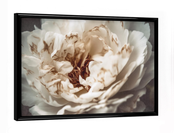 Poster mit schwarzem Rahmen "Nostalgic Nature (Einundzwanzig)" artboxONE - Natur,Floral,Für Mama