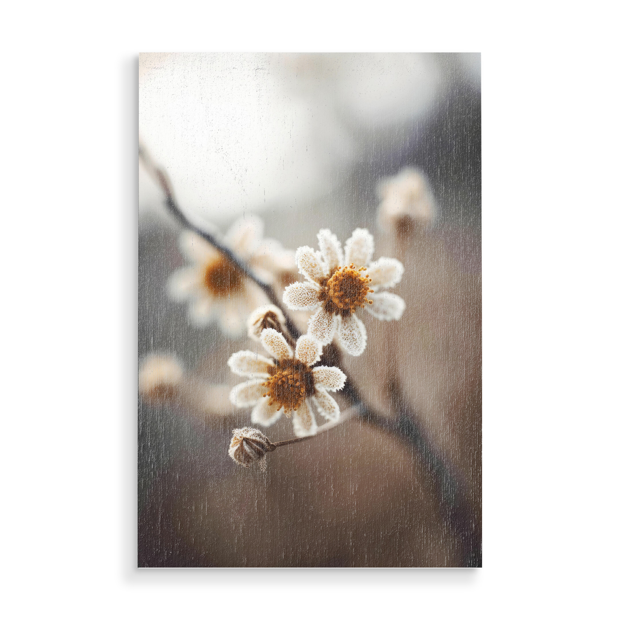 Holzbild "Pastelles Natur Makro (Zwölf)" artboxONE - Natur,Floral - Natur,Fotografie,Blume,Blumen,Blüten,Makro