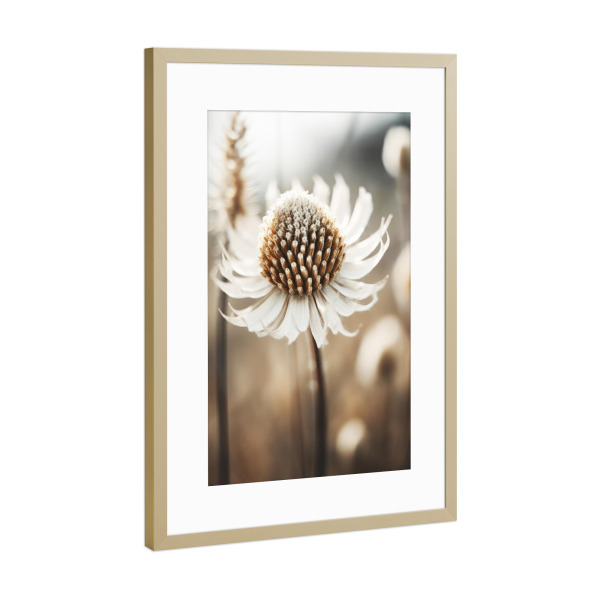 Poster mit Rahmen Gold "Pastelles Natur Makro (Dreizehn)" artboxONE - Natur,Floral - Natur,Fotografie,Makro,Blume,Blumen,Detail,Beige