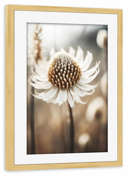 Poster mit Rahmen kiefer "Pastelles Natur Makro (Dreizehn)" artboxONE - Natur,Floral - Natur,Fotografie,Makro,Blume,Blumen,Detail,Beige