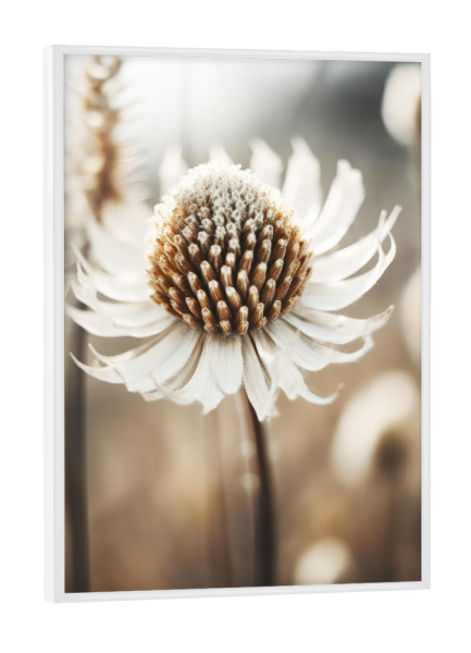 Poster mit weißem Rahmen "Pastelles Natur Makro (Dreizehn)" artboxONE - Natur,Floral - Natur,Fotografie,Makro,Blume,Blumen,Detail,Beige