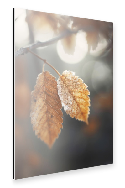 Alu-Dibond "Herbst Impression" 30x20 cm artboxONE
