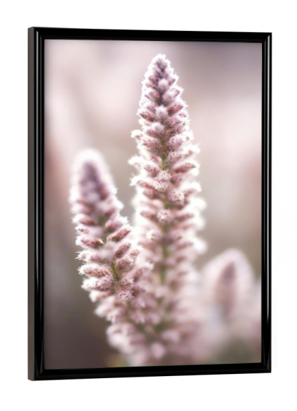 Poster mit schwarzem Rahmen "Natur Detail (Zwei)" artboxONE - Natur,Floral,Für Mama - Natur,Blume,Floral,Rosa,Pastell,Makro,Fotografie