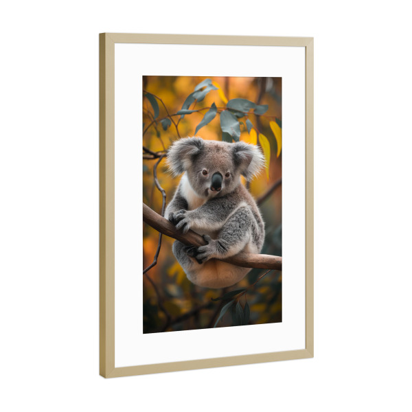 Poster mit Rahmen Gold "Koala Bär auf einem Ast" artboxONE - Natur,Reise,Tiere - Koala,Branch,Nature,Wild,Animal,Forest,Autumn,Ki