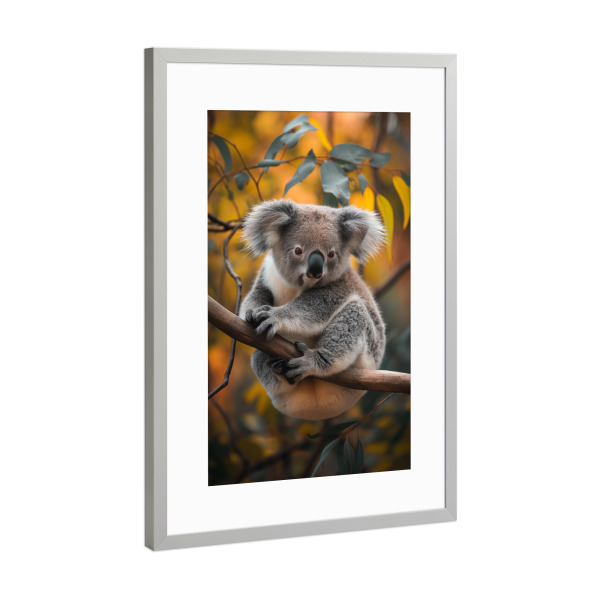 Poster mit Rahmen Silber "Koala Bär auf einem Ast" artboxONE - Natur,Reise,Tiere - Koala,Branch,Nature,Wild,Animal,Forest,Autumn,Ki