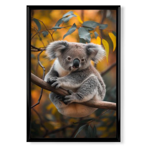 Koala bear on a branch