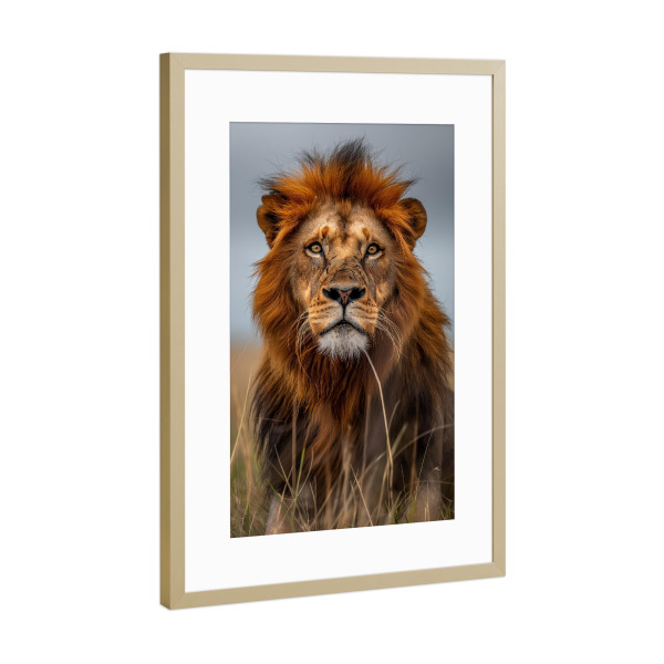 Poster mit Rahmen Gold "Majestätisches Löwen Porträt" artboxONE - Natur,Reise,Tiere - Löwe,Natur,Porträt,Nahaufnahme,König,Tier,Majestätisch,Ki