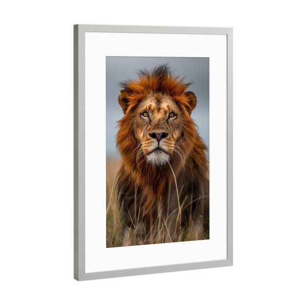 Poster mit Rahmen Silber "Majestätisches Löwen Porträt" artboxONE - Natur,Reise,Tiere - Löwe,Natur,Porträt,Nahaufnahme,König,Tier,Majestätisch,Ki
