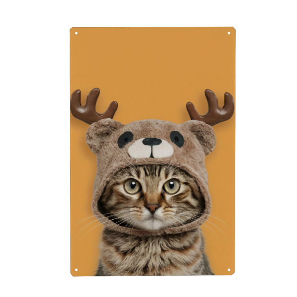 Metall Poster "Kitten with bear hat" artboxONE - Tiere,Lustig