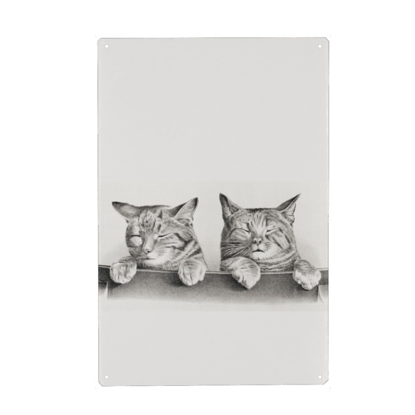 Metall Poster "Two Cats Sleeping" artboxONE - Tiere - Cute cats,Cat,Cute,Kids room,For kids,Animal,Animals,Animal portrait - Blechschild
