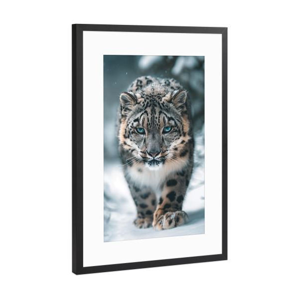 Poster mit Rahmen Schwarz (Metallic) "Blauäugiger Schneeleopard" artboxONE - Natur,Reise,Tiere